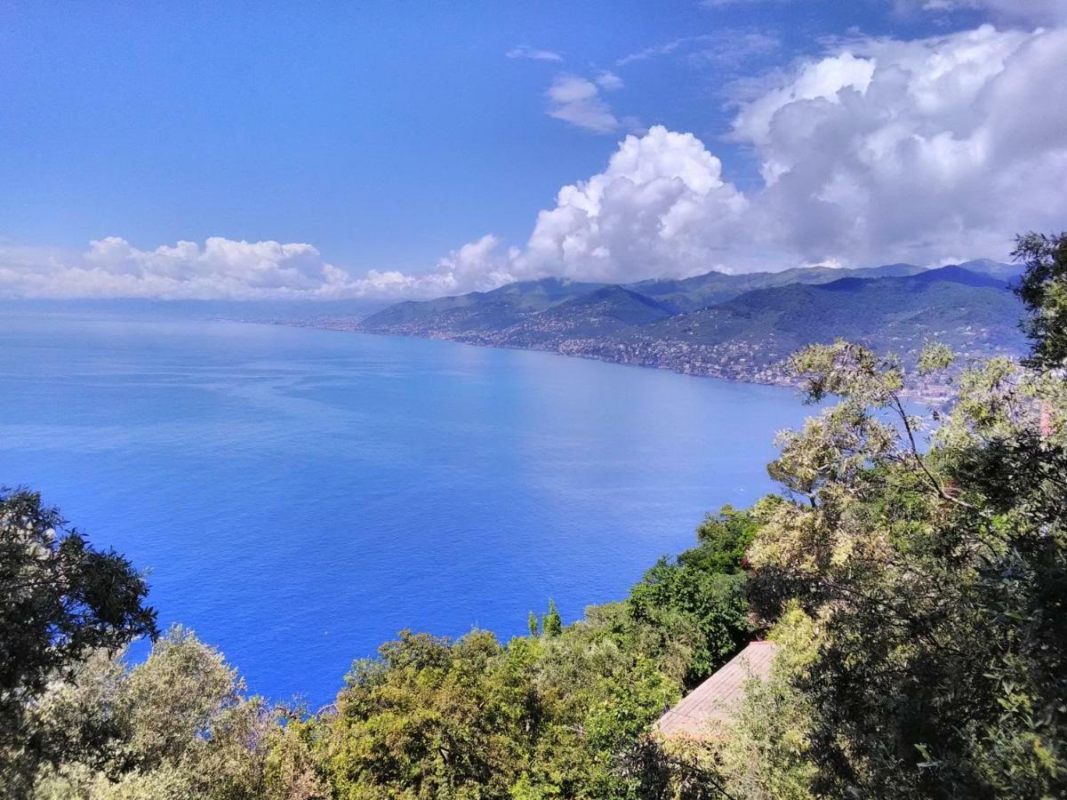 Villa Olivari - Apt La Lavanda Camogli Ngoại thất bức ảnh