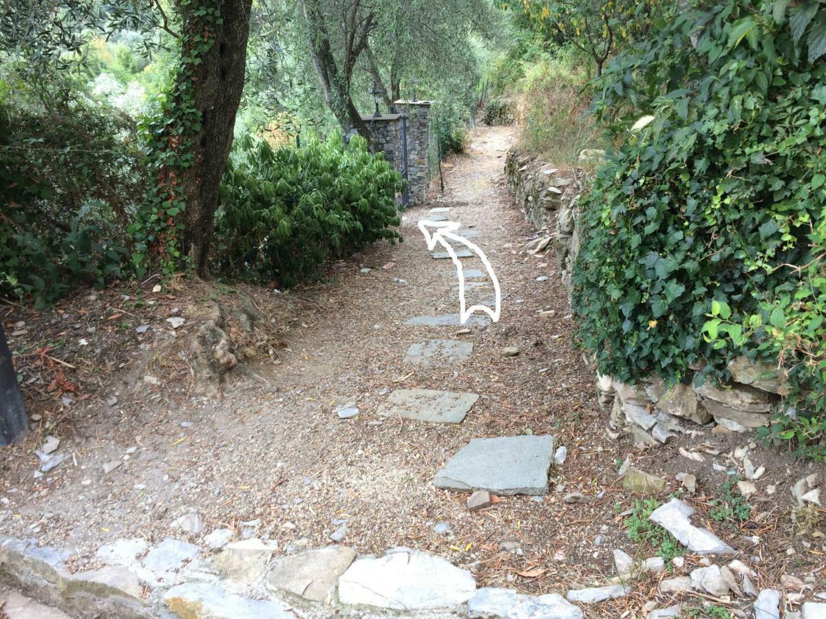 Villa Olivari - Apt La Lavanda Camogli Ngoại thất bức ảnh