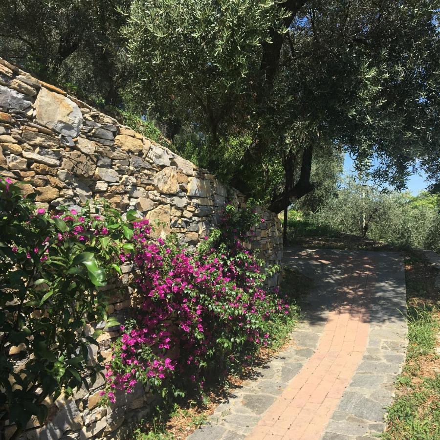 Villa Olivari - Apt La Lavanda Camogli Ngoại thất bức ảnh